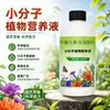 Solución Nutricional de Molécula Pequeña Raíz Fuerte, Floración, Ampliación de Frutos, Endulzamiento, Resistencia a Enfermedades, Resistencia al Frío, Fertilizante Foliar, Fertilizante de Lavado Suministro Directo del Fabricante