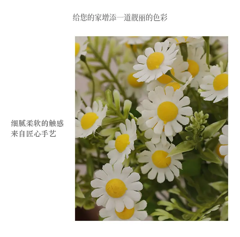 元霜春把束小雏菊_07.jpg