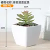Decoração de planta verde para casa em vaso de plástico carnudo, pequenos enfeites de mesa, vaso com combinação de flores artificiais, adereços para fotografia