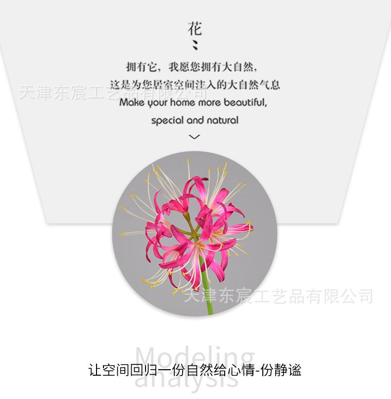 详情_07.png
