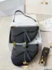Bolso Pequeño de Moda con Correa Ancha 2025 para Mujer, Bolso de Hombro Versátil y Moderno, Bolso Cruzado Elegante de Alta Gama, Bolso de Axila