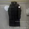 Comércio exterior transfronteiriço Jaqueta longa com capuz de plumas de pato branco 2800 masculina e feminina Canada Goose, casaco de inverno quente e à prova de frio