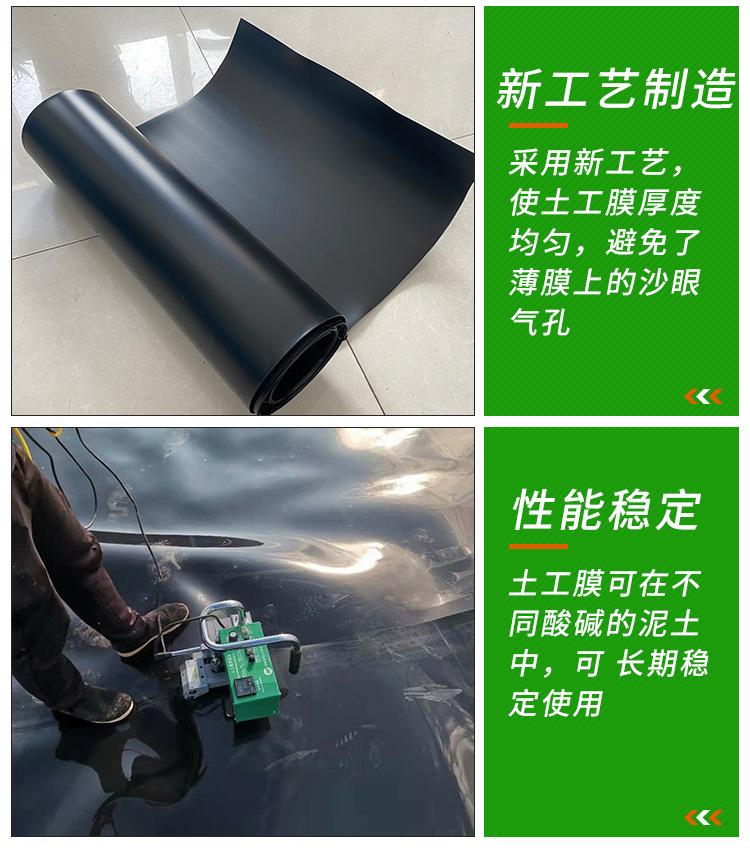 xiangq_05.jpg