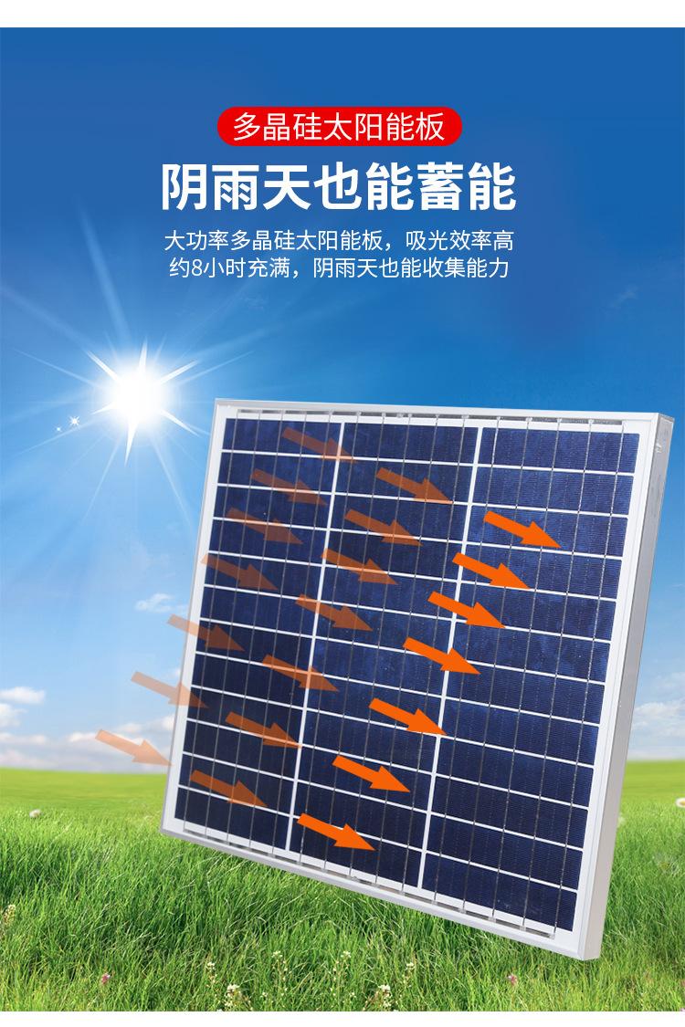 2纳米金豆_09.jpg