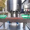 Repelente de mosquitos elétrico líquido máquina de enchimento de líquido repelente de mosquitos equipamento de enchimento de água sanitária rotação de alta velocidade multi-cabeça personalização 304