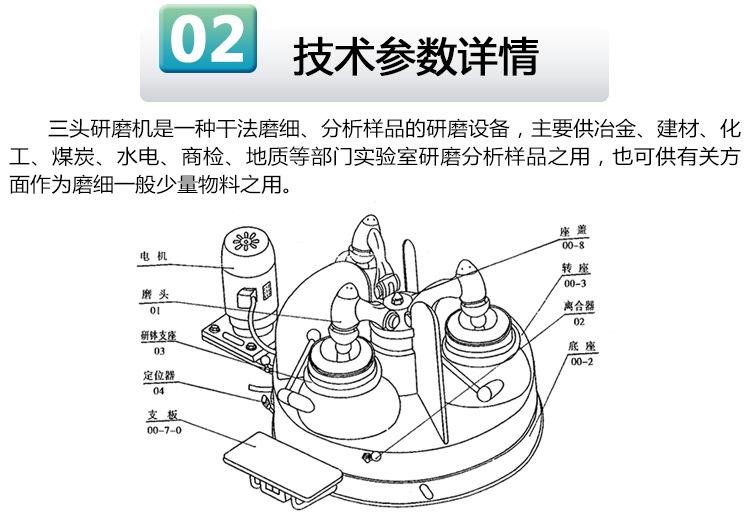 B2.jpg