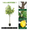 Planta de Maceta de Limonero Artificial Transfronterizo, Planta Verde Artificial Grande para Interiores, Árbol Falso, Adorno Decorativo de Piso para Sala de Estar