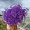 Gipsofila Flor Eterna Ramo de Flores Secas Venta Directa de Fábrica de Yunnan Gipsofila Flor Eterna Hecho a Mano DIY Flores al por Mayor