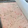 Surimi de Carne Picada de Salmón Recortes de Salmón Atlántico Venta al por Mayor a Granel Productos Congelados Alimento para Mascotas