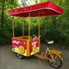 Carrinho de Sorvete Freezer a Energia Solar 12V24V Triciclo Montagem Inversa Carrinho de Burro Bicicleta Refrigerador Bicicleta de Venda de Bebidas Geladas
