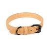 Nuevo collar para mascotas directo de fábrica golden retriever Satsuma perro pequeño y mediano collar ajustable de PU suministros para mascotas