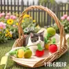 2026 Novo Modelo Varinha Mordedora de Gato Tomate, Brinquedo para Gato Resistente à Mordida, Autodivertimento e Alívio do Tédio com Sino, Brinquedo para Gato, Suprimentos para Gato