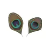 Pena de pavão natural real pena pena cauda olhos grandes DIY material para roupas feitas à mão decorações acessórios de palco acessórios de cabelo