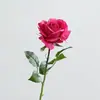 Flor Artificial Sentimiento Rosa Flor Falsa Rosa Individual Boda Decoración del Hogar Adornos Venta al por Mayor Frontera Sentimiento Rosa