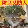 Malla especial anti-pájaros para árboles frutales, cerezo, uva y cubierta protectora para verduras, cubierta de malla de nailon, malla anti-pájaros para frutas al por mayor