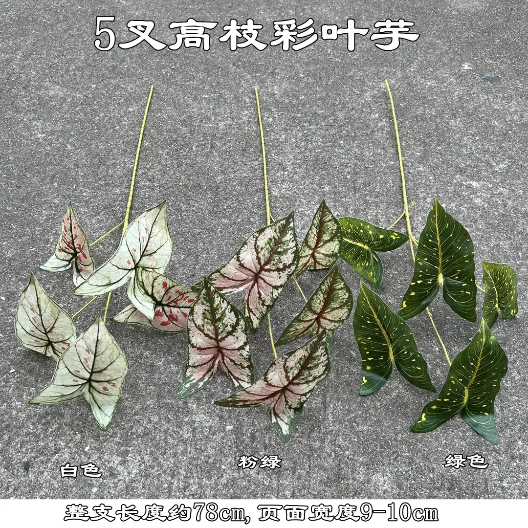 微信图片_20221118135808_副本