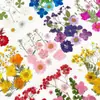 Paquete de Hojas de Flores Secas DIY Cristal Epoxi Paquete de Materiales de Flores Hechos a Mano Pegatinas de Flores Prensadas Materiales Plantas Decorativas Muestras Fotografía