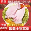 Envío Gratis por Jd.Com y Sf ExpressRaíces de Oreja de Cerdo Frescas, Pequeñas, Sin Pelo, Limpias, Orejas de Cerdo Congeladas, Rodajas de Oreja de Cerdo Crudas