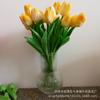 Tulipán de PU Flor Artificial Flor Artificial Compra de Comercio Exterior Imprescindible Suministros para Bodas Regalos de Graduación Recuerdos