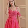 Falda Corta de Malla Bordada tipo Tutú con Diseño de Ballena para Ceñir la Cintura, Vestido Elegante para Sesiones de Fotos de Cumpleaños y Uso Diario, Vestido de Alta Gama