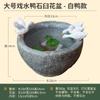 Creativo macetero hidropónico de cobre para plantas de dinero, utensilios, plantas suculentas en maceta, animales lindos, pato, pecera, adornos para paisajismo