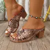Sandalias de Playa de Tacón Grueso con Hebilla de Talla Grande Cruzadas Europeas y Americanas En Stock Venta al por Mayor Talla Grande