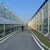 Proyecto de Invernadero con Panel Solar, Invernadero de Turismo Educativo, Enseñanza de Experiencia Agrícola, Construcción con Estructura de Acero, Invernadero Luyuan
