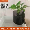 Filtro de Tanque para Tortuga Caja de Goteo Purificación de Agua Circulación Filtro de Caja Montado en la Parte Superior Sistema de Circulación de Agua para Tanque de Tortuga Caja Purificadora de Agua