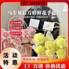 Bolsa para arreglo floral de papel kraft, empaque de regalo para ramo, bolsa tote impermeable, material de empaque floral para floristería