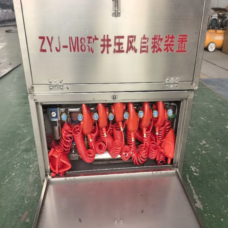 图 (4)