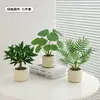 Plantas Verdes, Vasos Pequenos, Árvore da Fortuna Semelhante para Mesas de Escritório Internas, Mesas de Centro de Sala de Estar, Flores Artificiais e Arranjos Florais