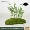 Musgo Sintético Decoración Suave para Interiores Conjunto de Micro Paisaje Combinación Exhibición en Ventana Pasillo Musgo Artificial Plantas Verdes Arreglo de Paisajismo Decoración