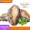 Suco de abalone, abalone fresco congelado, abalone no atacado, carne de abalone comercial, abalone vivo congelado com casca comercial, suco no atacado