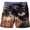 Pantalones de Playa Estampados en 3D Nuevos de Verano, Shorts con Paisaje de Atardecer Vacacional, Hechos en Fábrica al por Mayor Dropshipping DIY