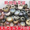 Maceta de Piedra, Piedra Natural, Planta de Juncia, Suculenta, Adorno de Bonsái Retro, Maceta de Cerámica No Hidropónica, Acuario