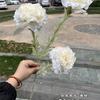 Nueva fábrica de flores de boda color champán hortensia rosa boda guía de camino flores falsas suaves al por mayor