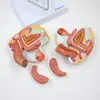 Modelo Uterino Femenino, Ovárico, Vaginal, Modelo Oficial de Órganos Reproductores Internos y Externos Femeninos, Demostración Ginecológica Reproductiva