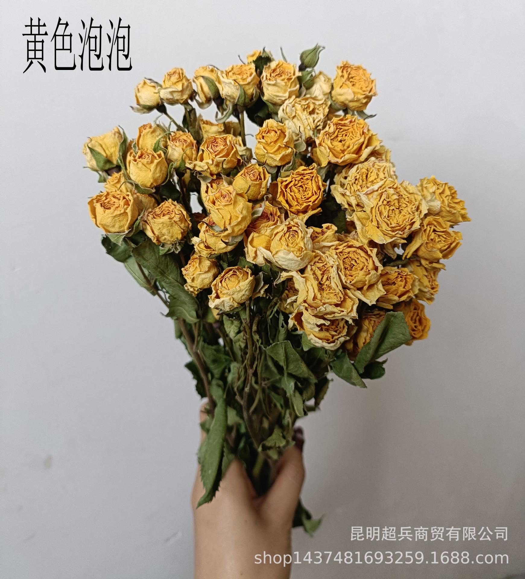 IMG20230727135153.jpg
