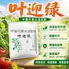 Huerto casero fertilizante foliar para frutas y verduras hoja verde suministro equilibrado de nutrientes mejorar la absorción del suelo problemas de plántula débil hoja amarilla