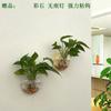 Maceta Acrílica de Pared Hidropónica para Pothos, Botella, Colgante de Pared, Pecera, Decoración de Pared, Restaurante, Sala de Estar, Pared de Fondo, Maceta