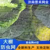 Rede à Prova de Insetos 60 Malhas Fabricante em Estoque para Uso Agrícola em Morangos e Uvas, Anti-Mosca, Anti-Mosquito Rede para Estufa, Anti-Abelha