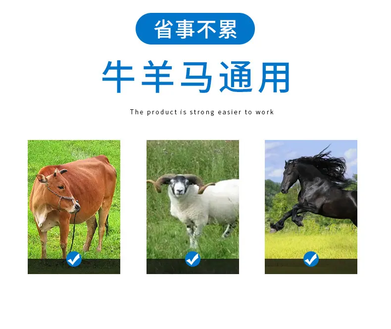 详情_03.jpg