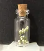 Japonês e Coreano Mais Vendidos Fresco e Doce Garrafa de Vidro de Garrafa de Deriva Trevo de Quatro Folhas Dente-de-Leão Flor Real Flor Seca Colar Modelo de Melhor Amiga