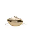 Bolso de Noche Transfronterizo 2026 Nuevo Bolso de Concha Bolso Caja Acrílica Bolso Cruzado de Hombro Mango Bolso de Mano para Mujer