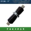 Buje de Pared Cerámico para Exteriores CWWB-20/200A 24KV/630 Barra de Cobre 1000 1250 3150 400