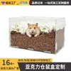 Caixa de Hamster de Acrílico, Caixa Transparente para Répteis, Caixa de Criação com Paisagismo de Floresta Tropical para Aranhas, Caixa de Decoração e Visualização para Répteis