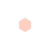 Spot atacado etiqueta de identificação hexagonal de aço inoxidável lisa para cachorro cartão de animal de estimação metal chaveiro anti-perda gravação