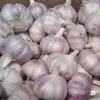 Nuevo Ajo Seco de Este Año 2.5kg Dientes de Ajo Grandes, Dientes de Ajo Nuevos Cultivados en Granja a Partir de 250g, Ajo de Piel Morada-Blanca, Verduras de Temporada, Caja Completa