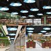 Lámpara de araña LED para oficina, sala de reuniones, moderna, simple, sólida, redonda, para gimnasio, tienda, comercial, cielo azul, nube blanca