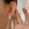 Brincos de Esmalte Fosco de Alto Padrão Estilo Coreano, Moda de Alto Padrão de Nicho, Brincos de Borboleta Pintura a Óleo Azul Frescos e Elegantes
